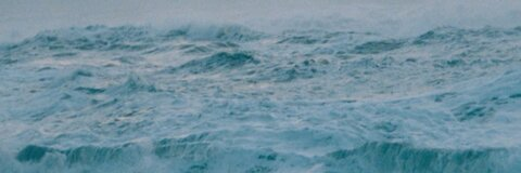 Leaked catvomitt header onlyfans leaked