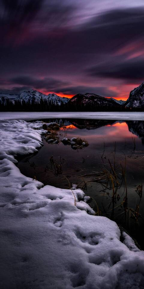 Leaked chaospixie88 header onlyfans leaked