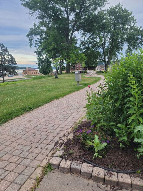 Leaked charlesvein header onlyfans leaked