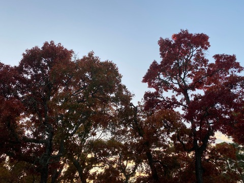 Leaked cherryybabyyyy header onlyfans leaked