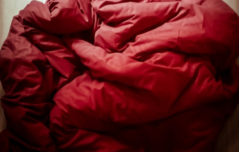 Leaked chilldoggo header onlyfans leaked