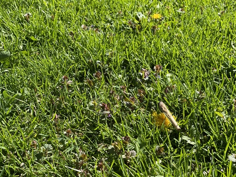 Leaked chokemeplsbb header onlyfans leaked