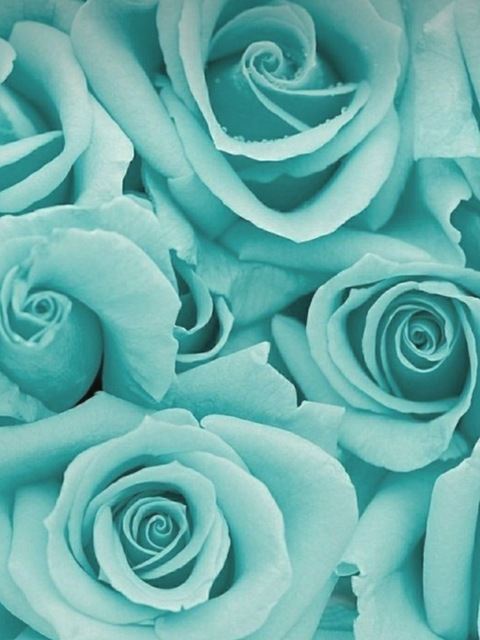 Leaked chosenme header onlyfans leaked