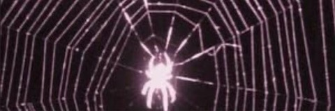 Leaked chrryhell header onlyfans leaked