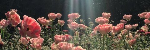 Leaked cleap header onlyfans leaked