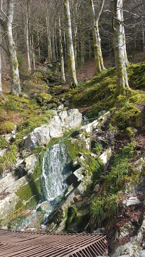 Leaked clearsky42069 header onlyfans leaked