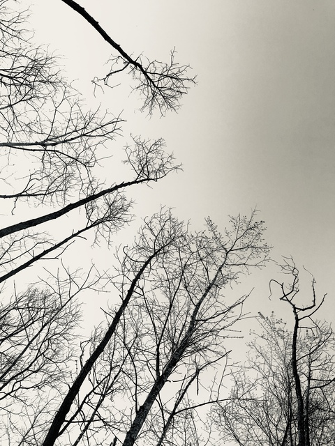 Leaked coupledchaos header onlyfans leaked