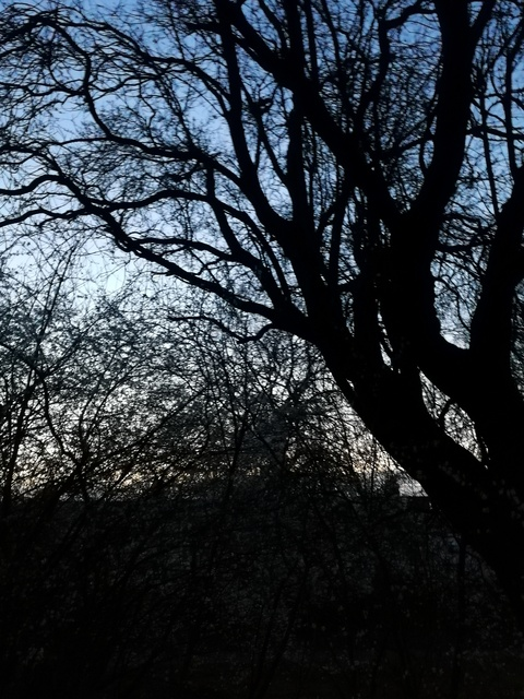 Leaked coupletrouble header onlyfans leaked