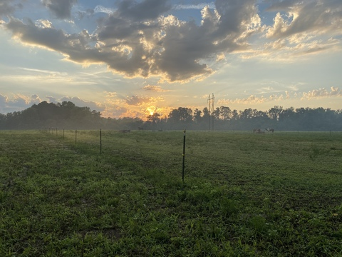 Leaked cowgirl_mel header onlyfans leaked