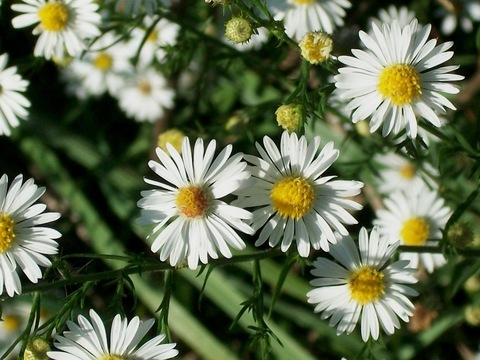 Leaked crouca header onlyfans leaked