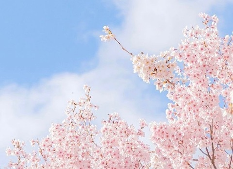 Leaked cutefairytale header onlyfans leaked