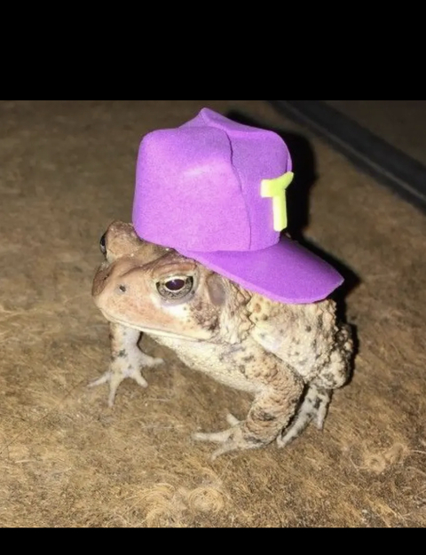 Leaked daddiesgirl69 header onlyfans leaked