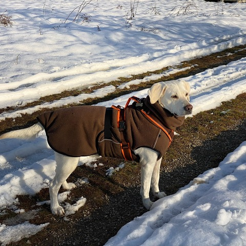 Leaked dagiidii header onlyfans leaked