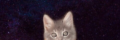 Leaked dainieto header onlyfans leaked