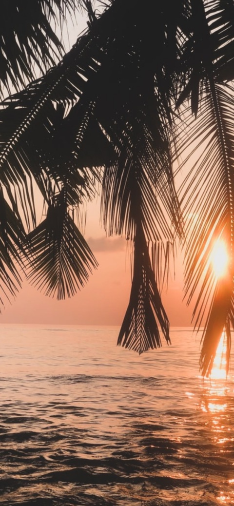 Leaked dallinwhiteboy header onlyfans leaked