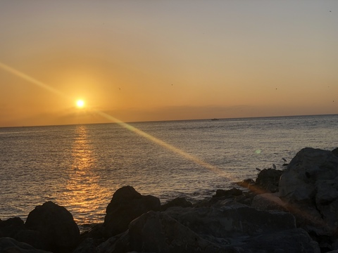 Leaked danield2388 header onlyfans leaked