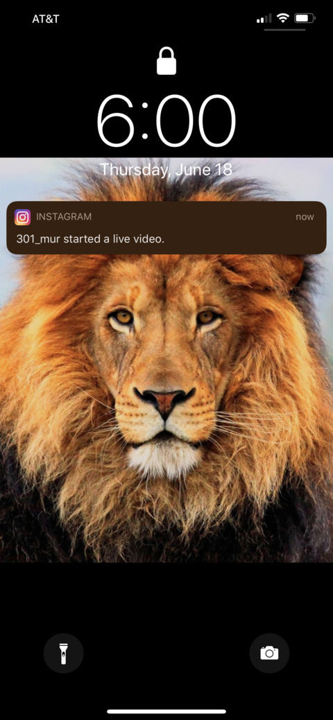 Leaked dclion36 header onlyfans leaked