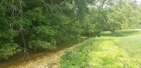 Leaked dddnaturegirl header onlyfans leaked