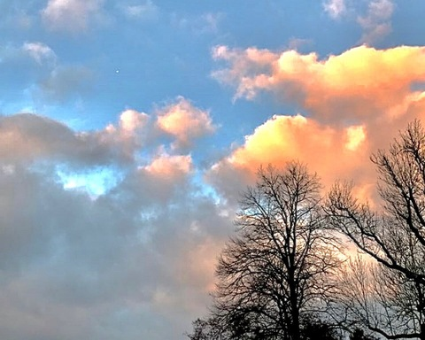 Leaked deardybear header onlyfans leaked