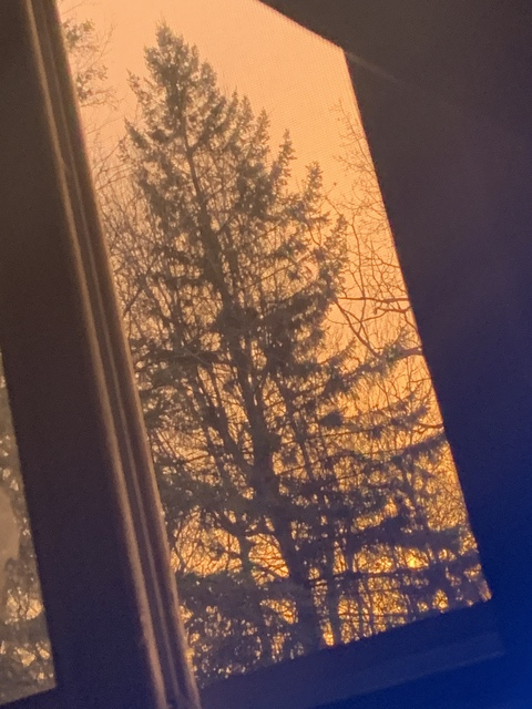 Leaked deerling header onlyfans leaked