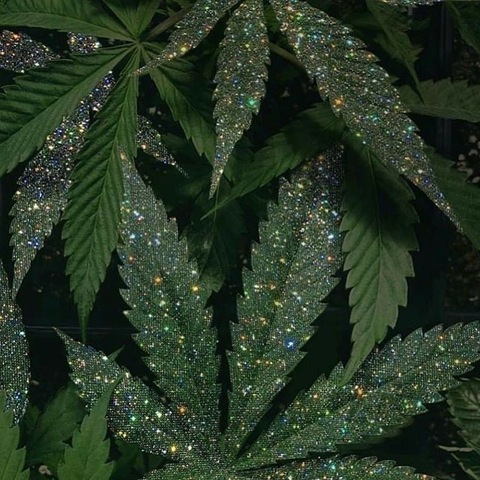 Leaked delilahswetbuds header onlyfans leaked