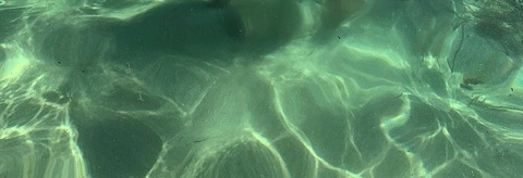 Leaked dereekmadrid header onlyfans leaked