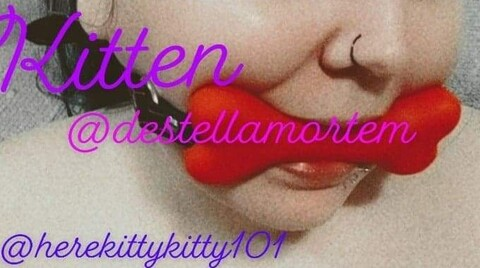 Leaked destellamortem header onlyfans leaked