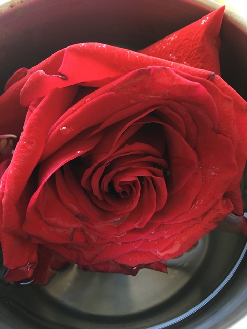 Leaked devilslittlebaby97 header onlyfans leaked