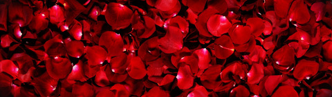 Leaked dianadiorxx header onlyfans leaked