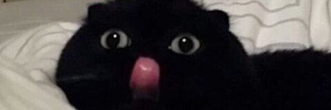 Leaked digimanda header onlyfans leaked