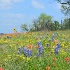 Leaked disgustedcat onlyfans leaked