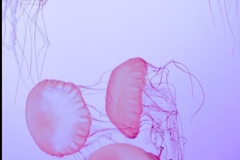 Leaked doyoulikefreckles header onlyfans leaked