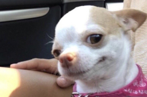 Leaked dreezydreaa header onlyfans leaked