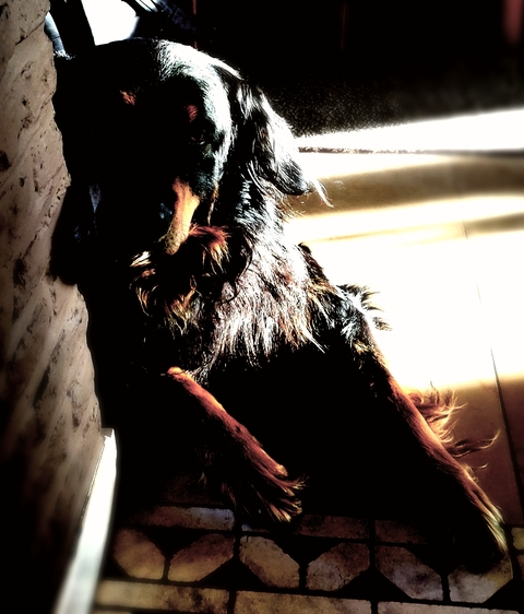 Leaked dudes0203 header onlyfans leaked