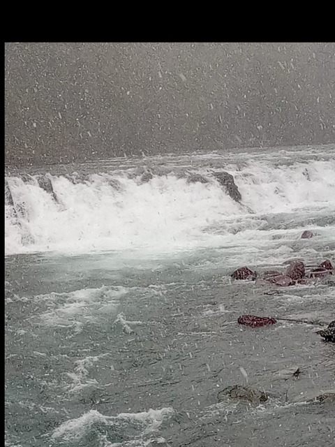 Leaked dwright4real header onlyfans leaked