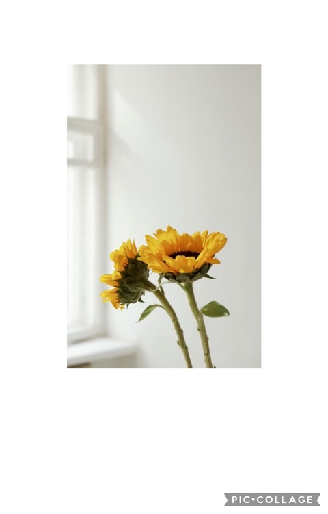 Leaked earthvenus1 header onlyfans leaked