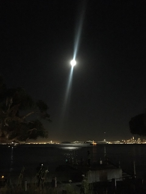 Leaked edgedmuscleboy header onlyfans leaked