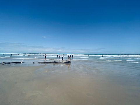 Leaked edithee header onlyfans leaked