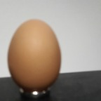 eggies Profile Picture