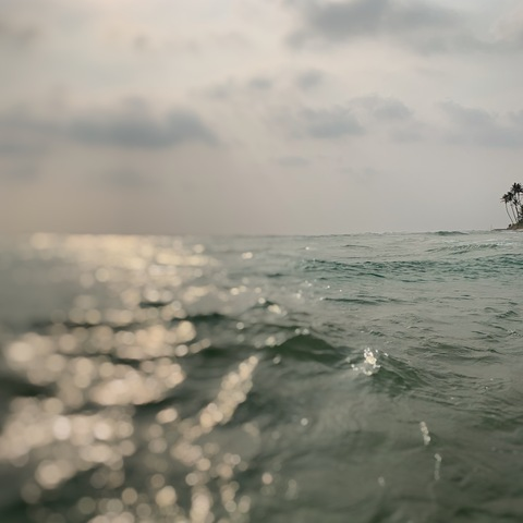 Leaked eireenwanderlust header onlyfans leaked