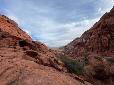 Leaked eljablo header onlyfans leaked