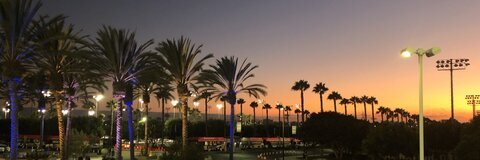 Leaked ellaorten header onlyfans leaked