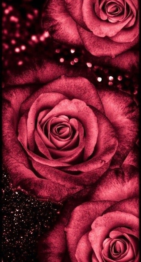 Leaked ellarenate7 header onlyfans leaked