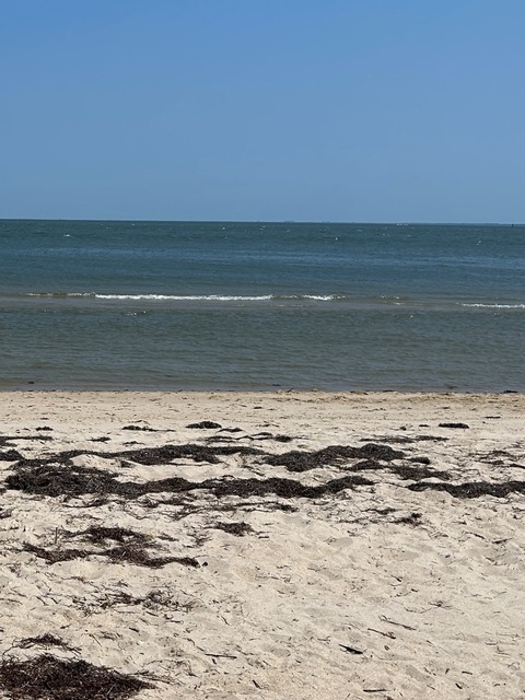 Leaked ellarosey header onlyfans leaked