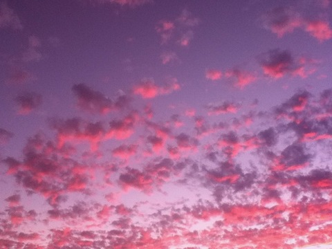 Leaked ellie.bellee header onlyfans leaked