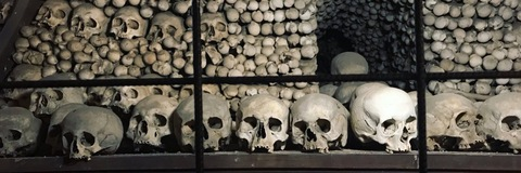 Leaked elllle-b header onlyfans leaked