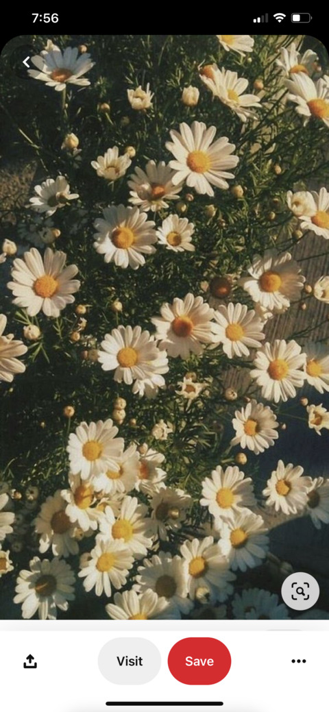 Leaked emebrooke header onlyfans leaked