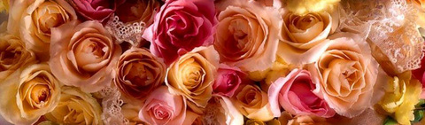 Leaked emiannrose header onlyfans leaked