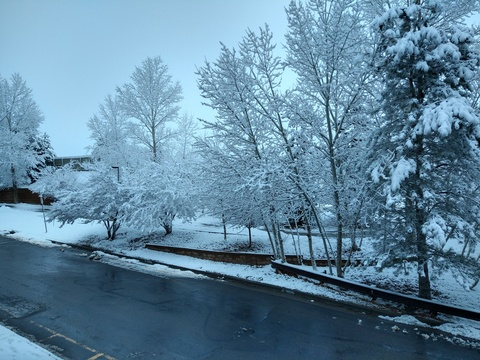 Leaked eowjuju header onlyfans leaked