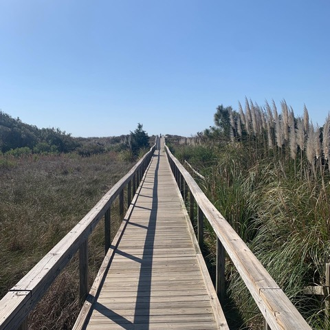 Leaked epdtravels header onlyfans leaked